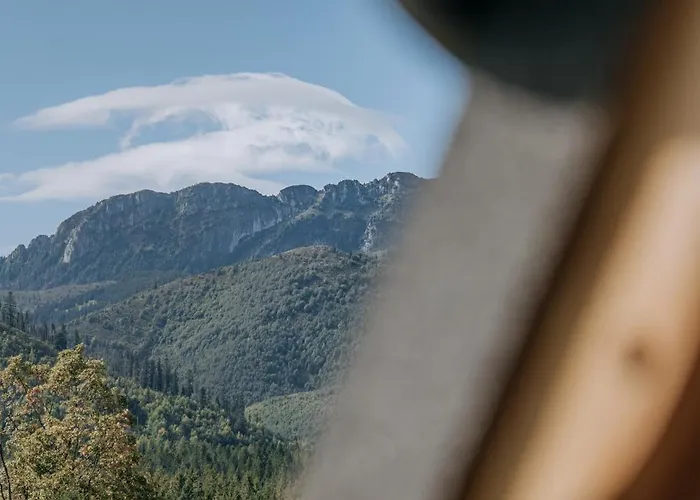 Why Not Mysliwska Exclusive Z Basenem