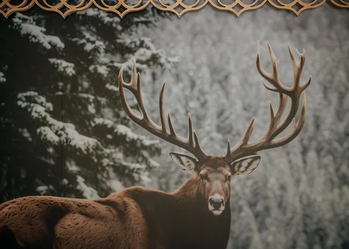 Casa vacanze Why Not Mysliwska Exclusive Z Basenem